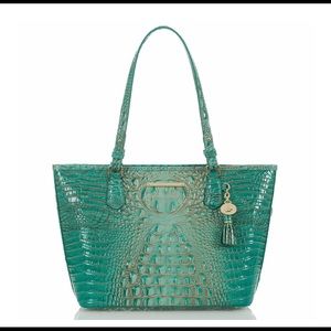 BRAHMÍN MÉDIUM ASHER TURQUOISE MELBORNE GENUINE